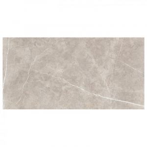 Swindon Mocha 60x120