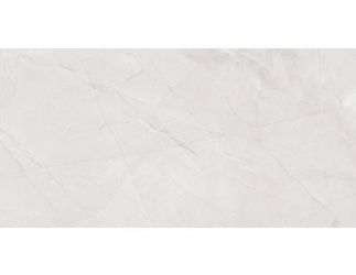 Quantum Bone 30x60
