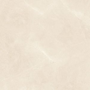 Elegant Beige 60×60