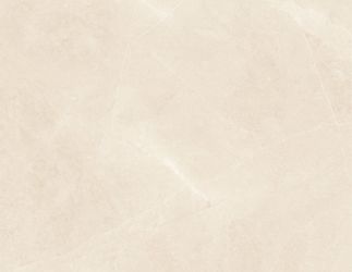 Elegant Beige 60×60
