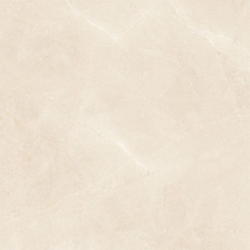 Elegant Beige 60×60