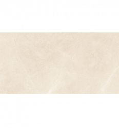 Elegant Beige 30×60