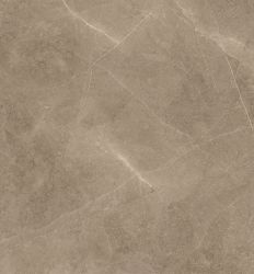 Elegant Taupe 60×60