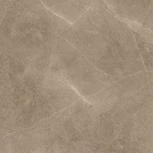 Elegant Taupe 60×60