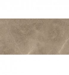 Elegant Taupe 30×60