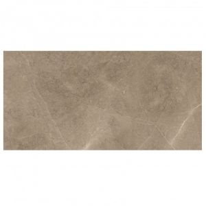 Elegant Taupe 30×60