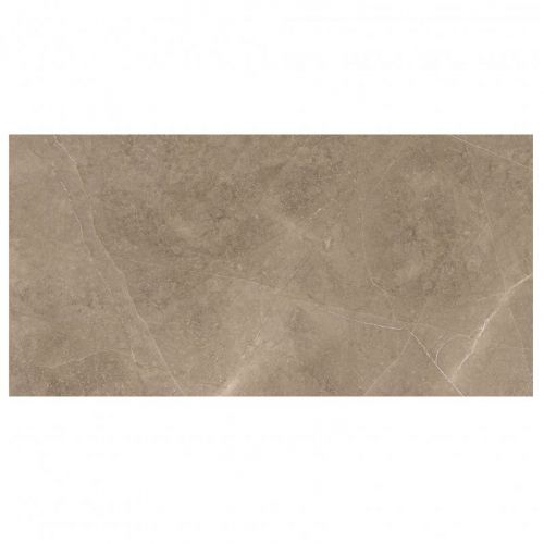 Elegant Taupe 30×60