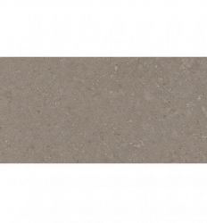 Natural Taupe 30×60