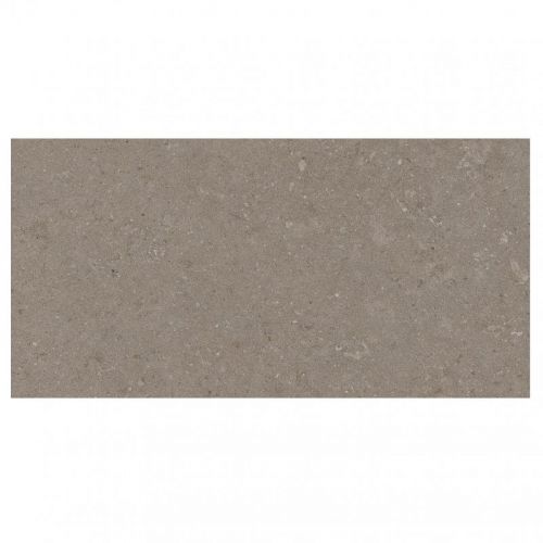 Natural Taupe 30×60