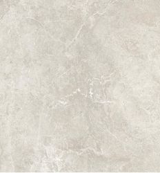 Nature Perla 60x60