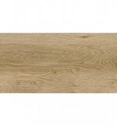 G317 Beige 29.8x59.8 G1