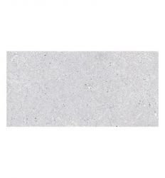 Terrazzo Grigio 60x120
