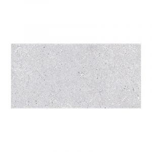 Terrazzo Grigio 60x120
