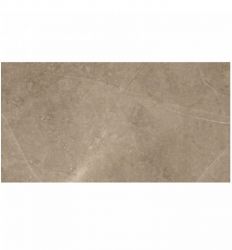 Elegant Taupe 60x120