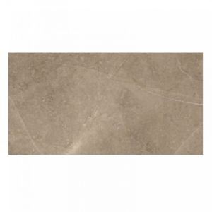 Elegant Taupe 60x120