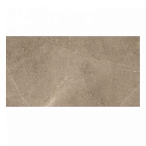 Elegant Taupe 60x120