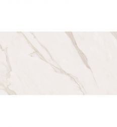 PP Ara Light Brown 60x120 