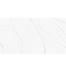 PP Elegance Light Grey Polished 60x120