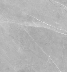 PP Royal Armani Grey Polished 60x60