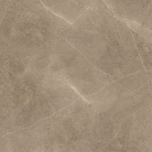 Elegant Taupe ARN 60x60