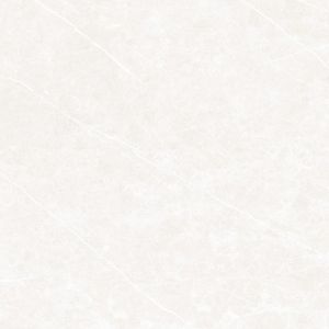 Elegant Ivory ARN 60x60