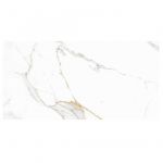 Platina Satuario 60x120