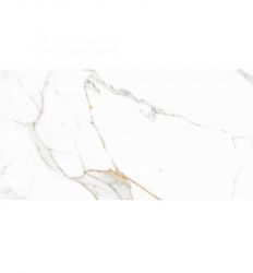 Platina Satuario 60x120