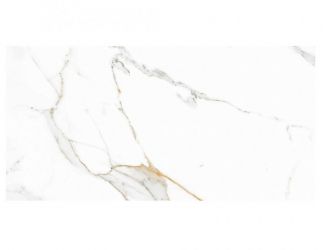 Platina Satuario 60x120