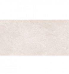 Elegant Taupe ARN 60x120