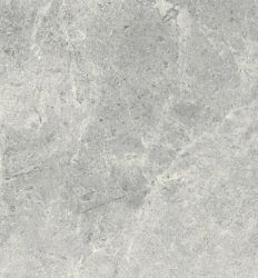 Mons Gray 60x60