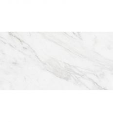 Carrara 25x50