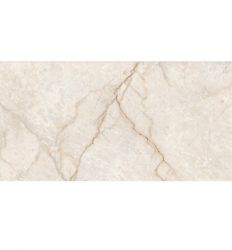 Champagne 3631 Glossy 30×60