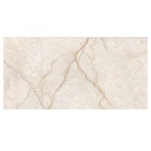 Champagne 3631 Glossy 30×60