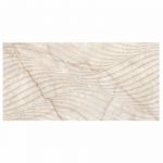 Champagne 3731 C Decor Glossy 30×60