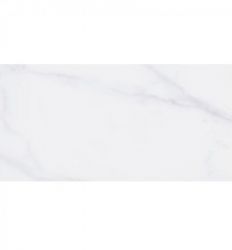 Dover White Shine 30x60