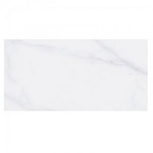 Dover White Shine 30x60