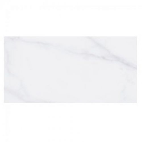 Dover White Shine 30x60