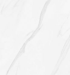 Ara Polished 60x60
