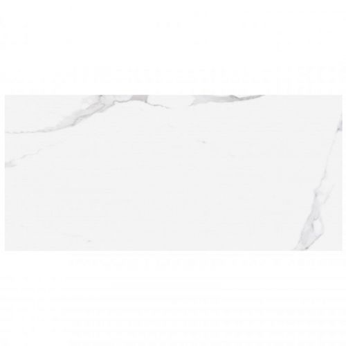 Portobello Brillo Rett. 60x120
