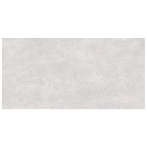 PS625 Light Grey Matt Micro 29.8x59.8