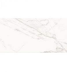PS804 White Glossy 29.8x59.8
