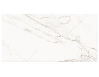 PS804 White Glossy 29.8x59.8