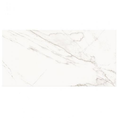 PS804 White Glossy 29.8x59.8