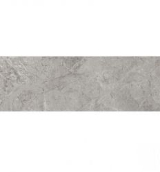 Renoir Gris 20x60