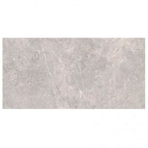 Coldy Grey Matt Rect 59.8x119.8