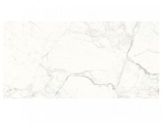 GPT1006 White Satin Rect 59.8x119.8