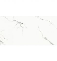 GPT1156 White Silver Lappato Sugar Rect 59.8x119.8