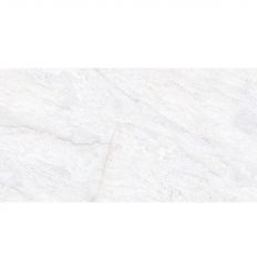Stone Light Grey 3519 Glossy 30×60