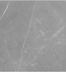 Elegant Grey 45x45