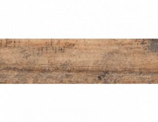 Celtis Honey 17.5x60